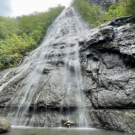 Mooz Lodge, The Local Discovery Afareaitu Εξωτερικό φωτογραφία